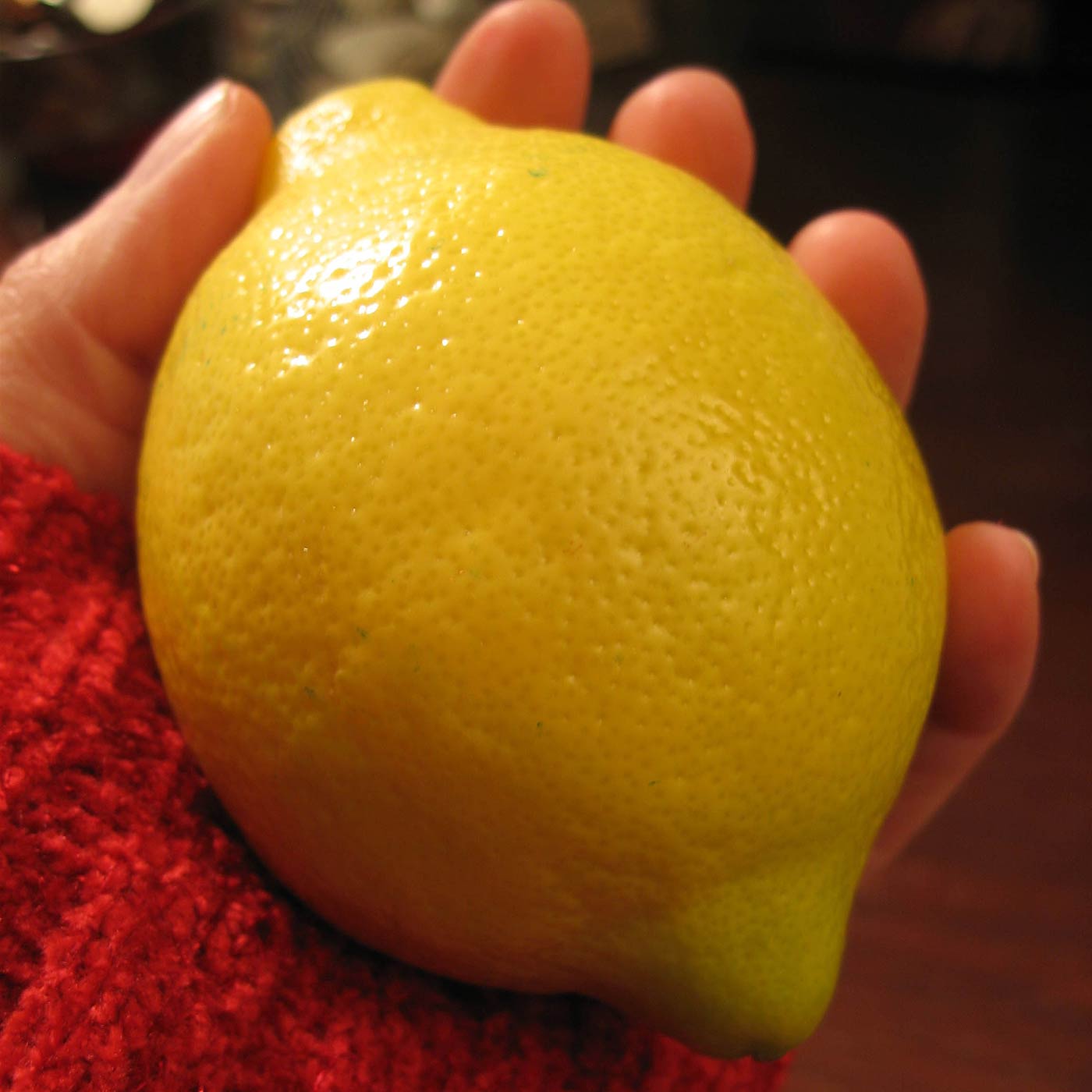A Pledge to the Lemons